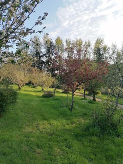 Chalet En Pleine Nature Au Bord D'Un Etang Lanvallay Exterior photo