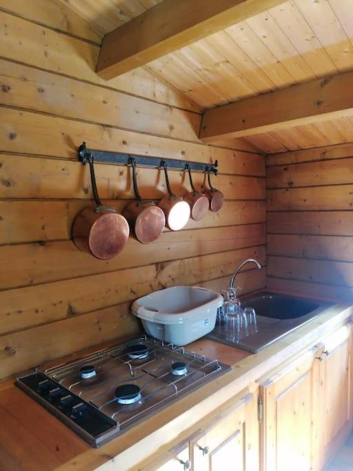 Chalet En Pleine Nature Au Bord D'Un Etang Lanvallay Exterior photo